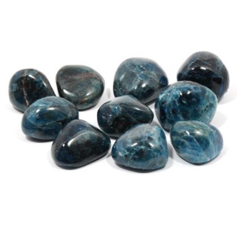 Image of Blue Appetite