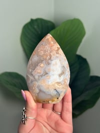 Image 1 of HQ FLOWER AGATE FLAME -MADAGASCAR- B