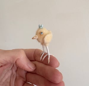 Image of Very Tiny Chicken Baby