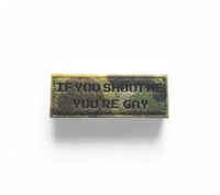 Fuzzy Multicam IYSMYG