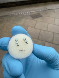 Image 4 of Inari Organics 