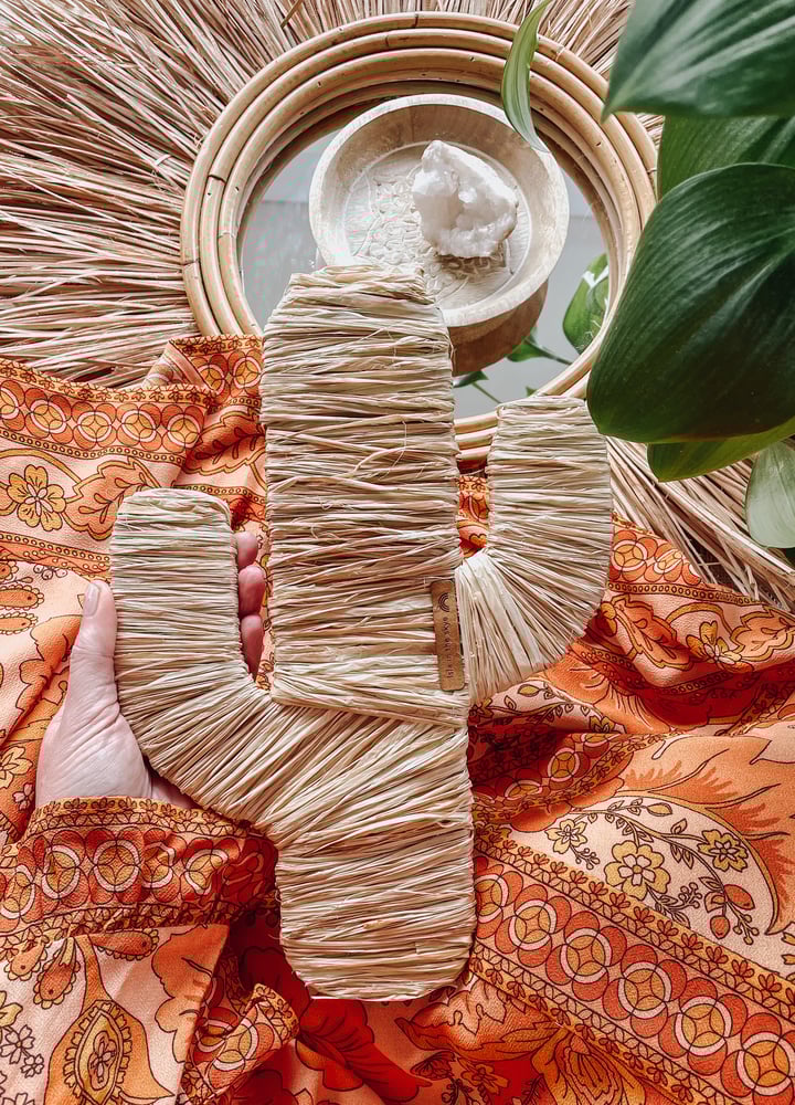 Image of Raffia Cactus
