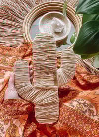 Image 1 of Raffia Cactus 