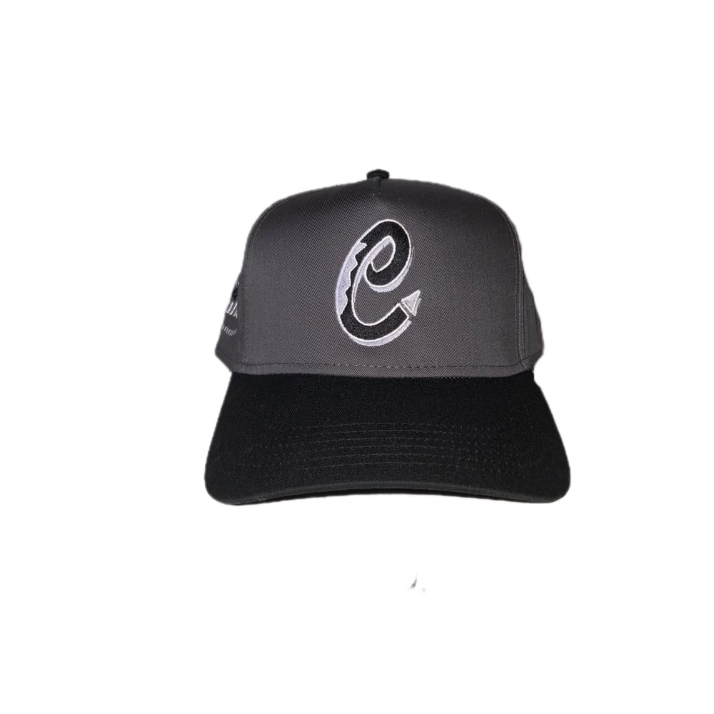 Image of Grey ChillGro League SnapBack 