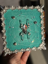 Image 1 of Tiffany 2.0