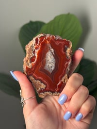 Image 2 of BRIGHT RED DOUBLE SIDED LAGUNA AGATE SLICE M