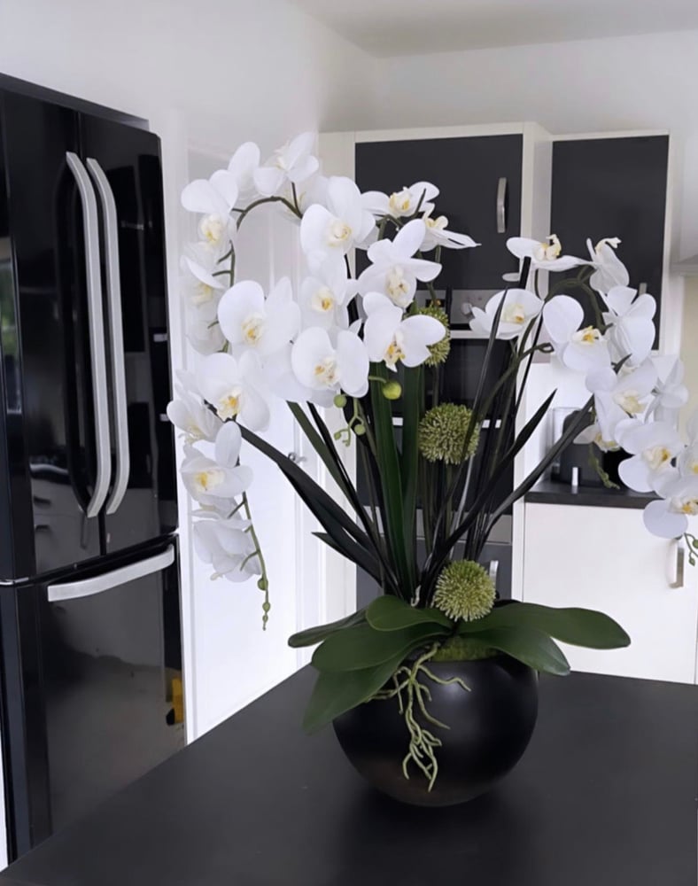 Image of Luxury allium orchid 
