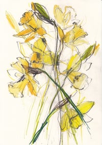 Daffodils no. 5