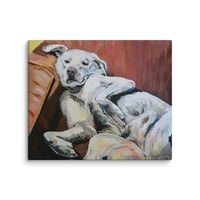 Image 4 of Comfortable Couch Dog