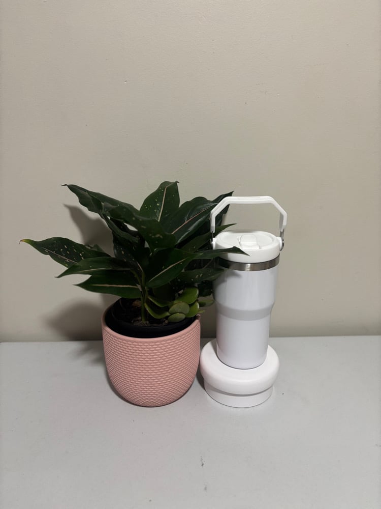 Gloss Drink Bottle (20oz)