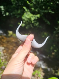 Image 2 of Bison Horns 