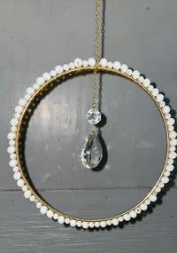 Image 3 of Anastasia - XL Orbit