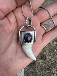 Image 2 of Wolf tooth/ Star Ruby