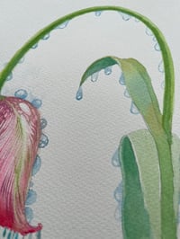 Image 3 of Doolin - Artwork
