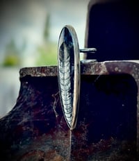 Image 3 of Rising ring II