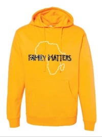 Image 5 of Family Matters BHM Africa Hoodie - Various Colors