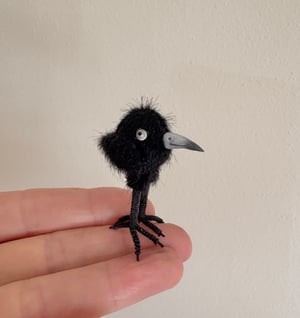 Image of Very Tiny Raven Baby #2