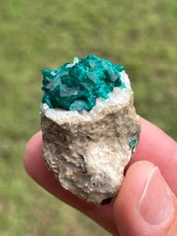 Image 10 of Dioptase Specimen | Congo #3011