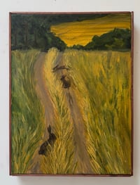 Hares amongst the barley