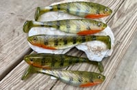 Image 3 of 5" G5 Hand Poured Swimbaits - "TREX PERCH"