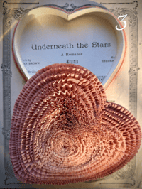 Image 7 of Antique Pink Ombre Heart Candy Boxes (multiple options)