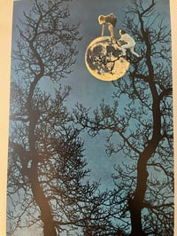 Image 1 of Moon picking 