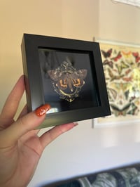 Image 3 of Yellow Bands Underwing Frame