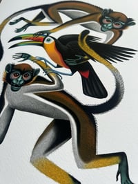 Image 4 of Monkeys and toucan 