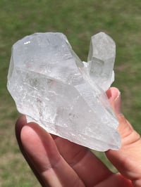 Image 5 of Clear Quartz Crystal Points Cluster #2503