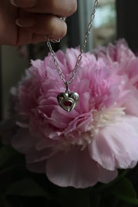 Image 1 of Ruby Sweetheart