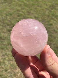 Image 6 of Star Rose Quartz Sphere #2982