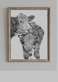 Image 2 of Hereford Cow A3 Print
