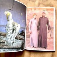 Image 8 of Lynn Alleva Lilley - Tender Mint (Signed)