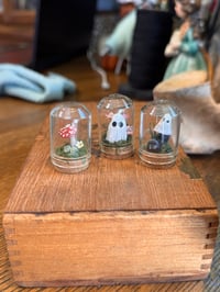 Image 3 of Spooky additions