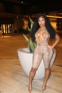 Image 5 of The Exotic Jumper 