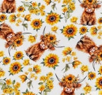 Highland Cow Sunflower
