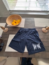 New York Yankees shorts 