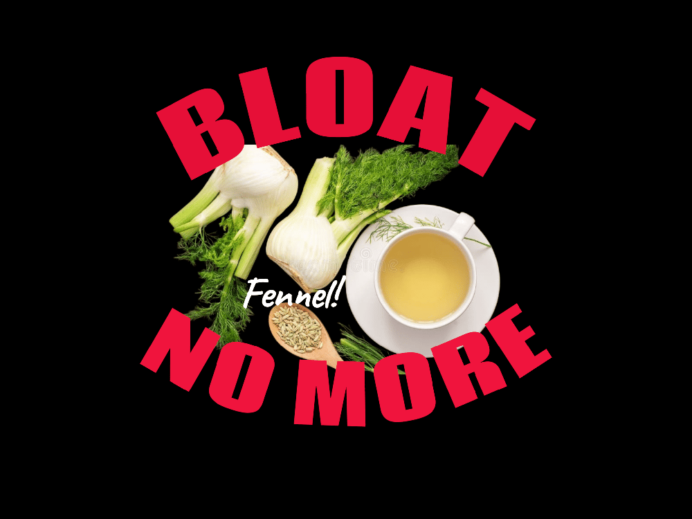 BLOAT NO MORE! Fennel Seed Teabags/Powder. Phlegm-Gas-IBS-Memory-GERD-Chemo-Menopause-Lactation 