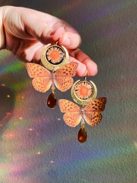 Image 5 of 🌛🧡Monarch Moons🧡🌜