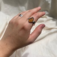 Image 1 of RUIN RING (Q ½)