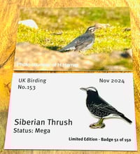 Image 1 of Siberian Thrush - No.153 - UK Birding Pins