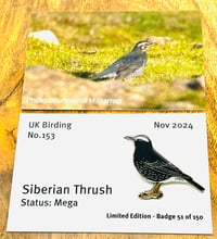 Image 1 of Siberian Thrush - No.153 - UK Birding Pins 