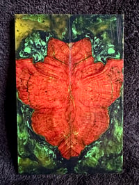 Image 1 of Yellow Cedar Burl Hybrid Knife Scales C