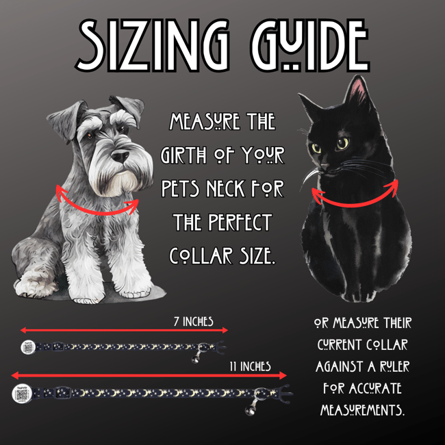 3 of Swords Pet Collar