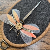Image 2 of Coffin nail time fly (c,  4 x 5  inches) 