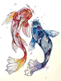 Koi Fish 