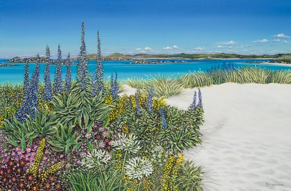 Image of Tresco Scilly giclee print