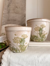 Image 1 of The Beatrice Round Pots ( 2 sizes )