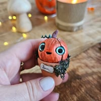 Image 3 of Mme Pumpkin Lucia