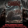 Epicardiectomy - Flags